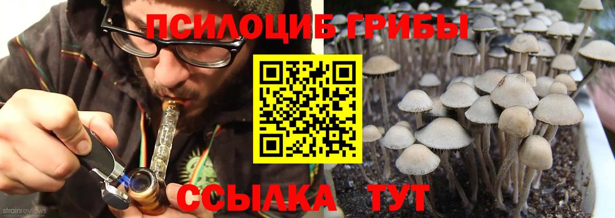 Псилоцибиновые грибы MAGIC MUSHROOMS Уссурийск